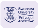 Swansea University